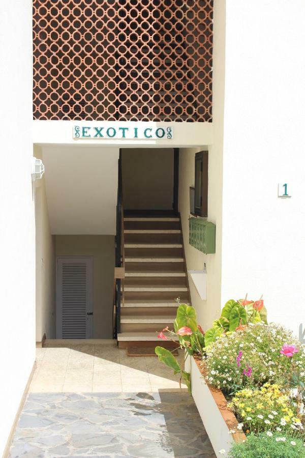 Holidaynorthtenerife Exotic Apartament ลอส เรอาเลคอส ภายนอก รูปภาพ