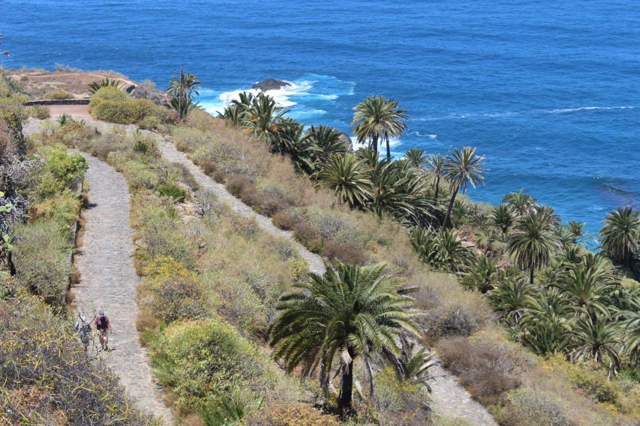 Holidaynorthtenerife Exotic Apartament ลอส เรอาเลคอส ภายนอก รูปภาพ